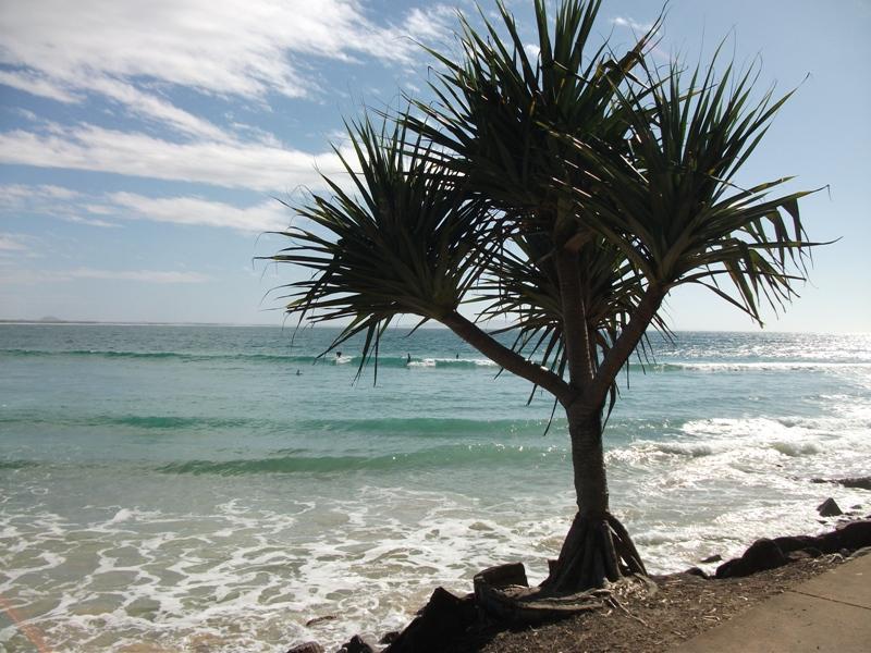 Noosa Gardens Riverside Resort Noosaville Εξωτερικό φωτογραφία